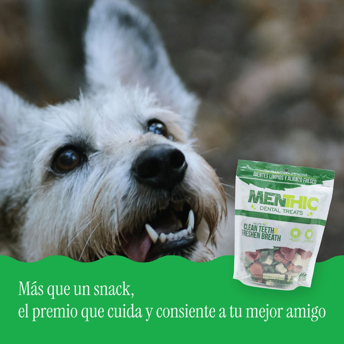 Mix Figuras Dentales para Perros Menthic 300 g – Snack Natural