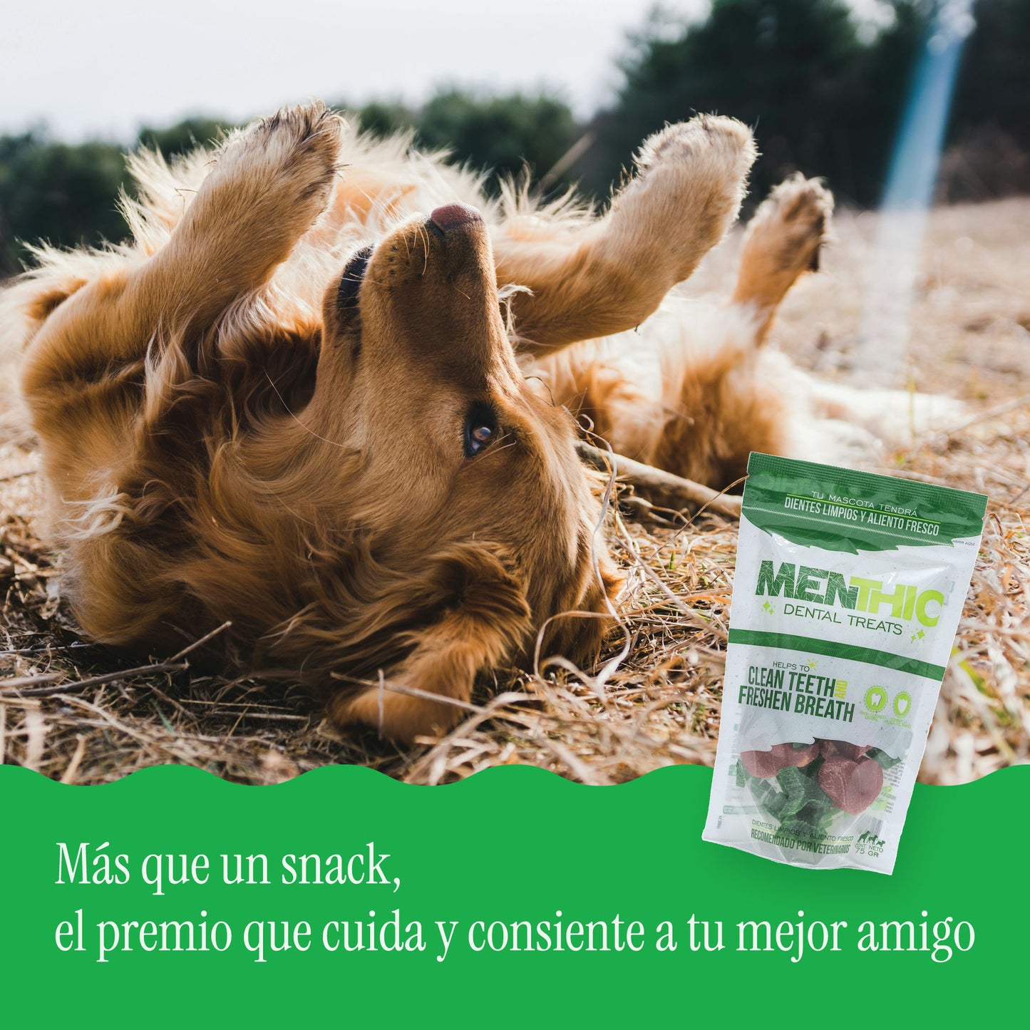 Mix Figuras Dentales para Perros Menthic 75 g – Snack Natural