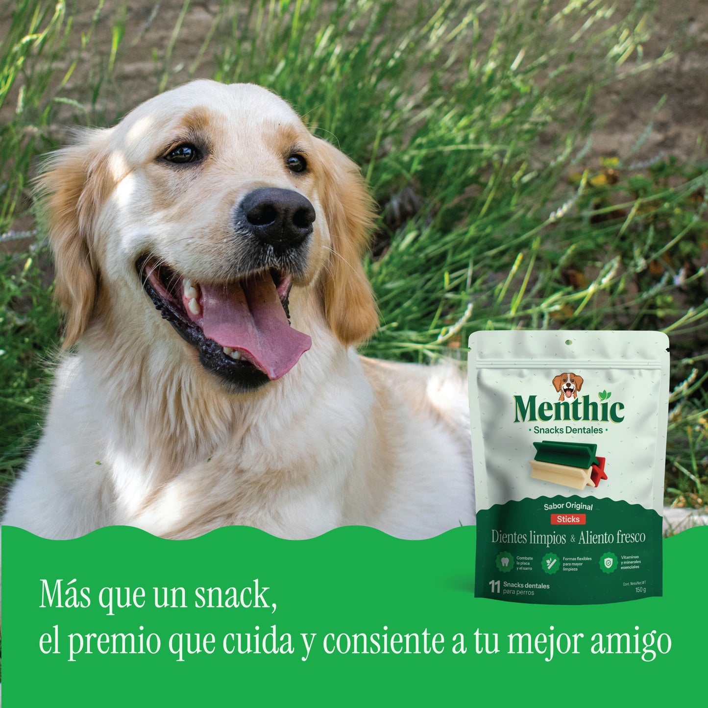 Sticks Dentales para Perros Menthic x11 (150g) - Snack Natural