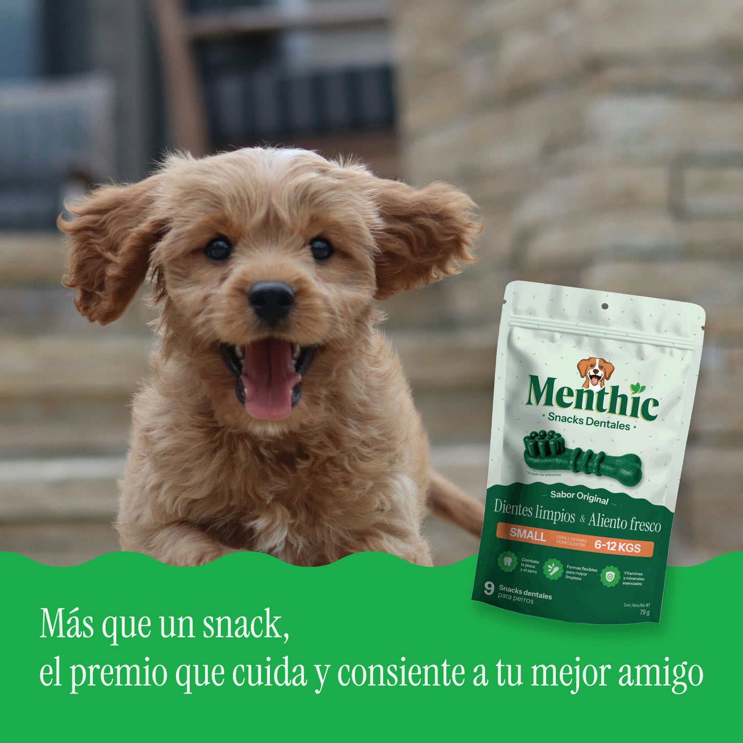 Cepillos Dentales para Perros Menthic Small x9 (79g) – Snack Natural