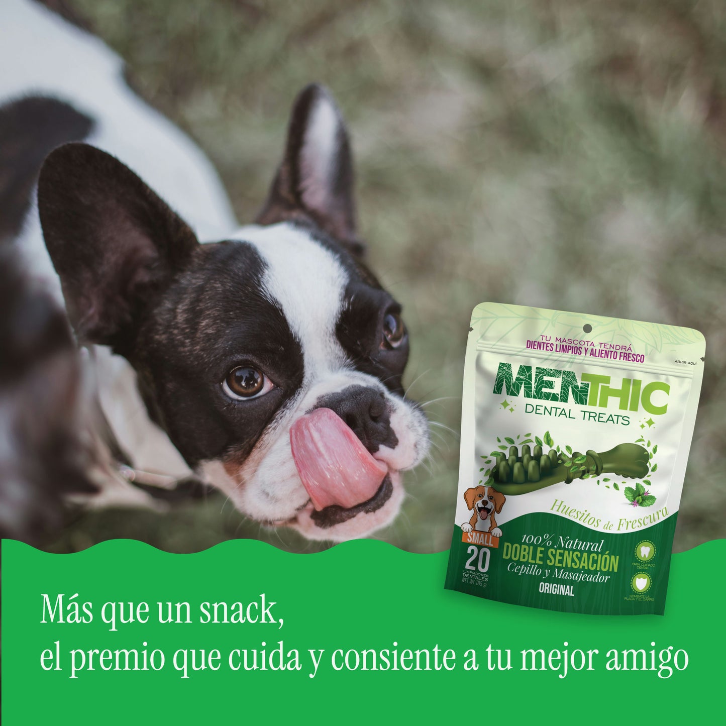 Cepillos Dentales para Perros Menthic Small x20 (185g) – Snack Natural