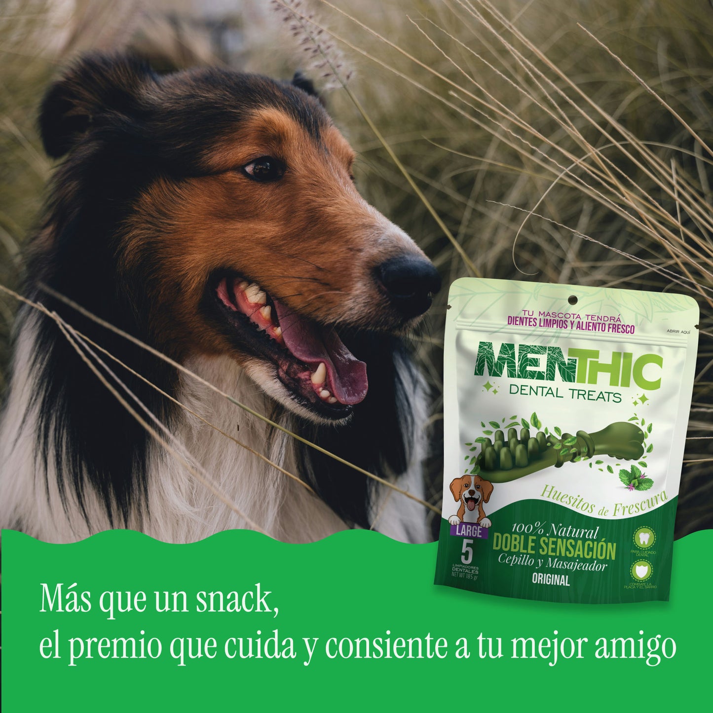 Cepillos Dentales para Perros Menthic Large x5 (185g) – Snack Natural
