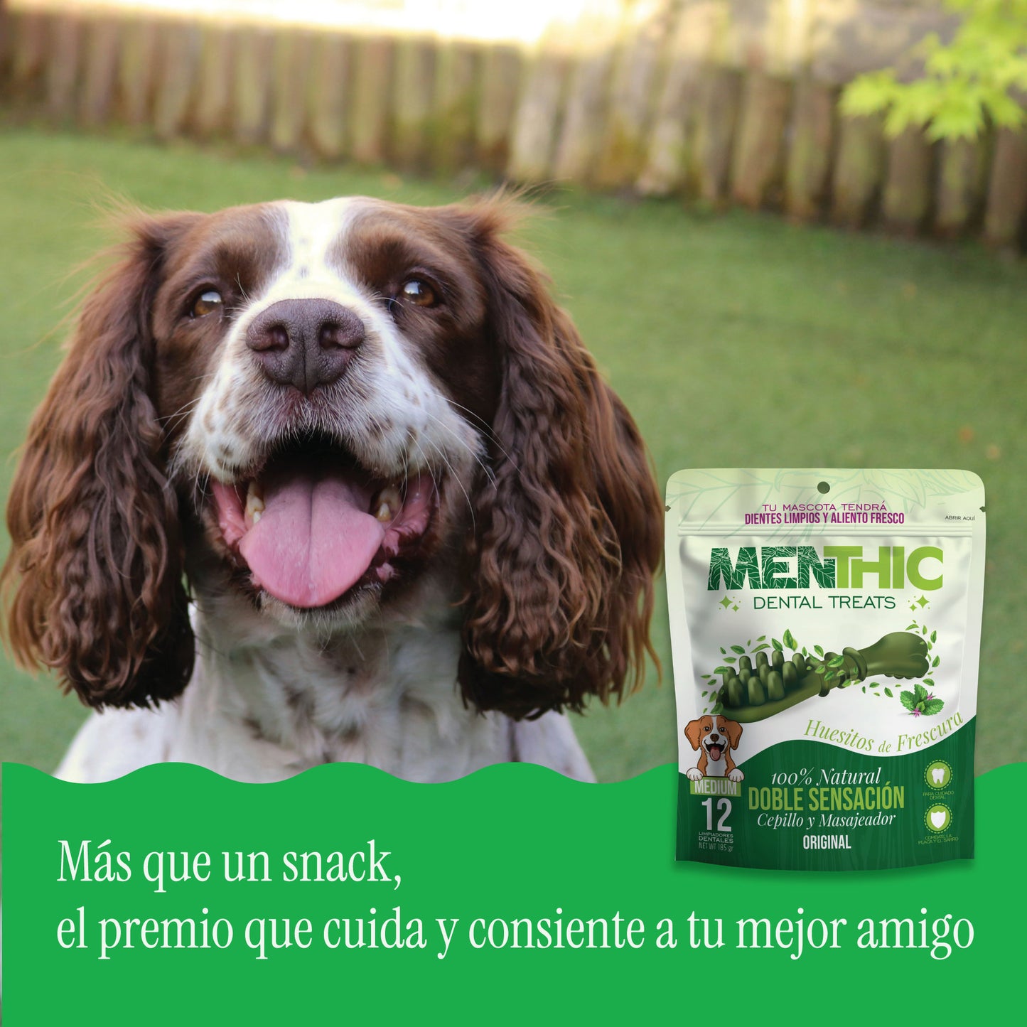 Cepillos Dentales para Perros Menthic Medium x12 (185g) – Snack Natural