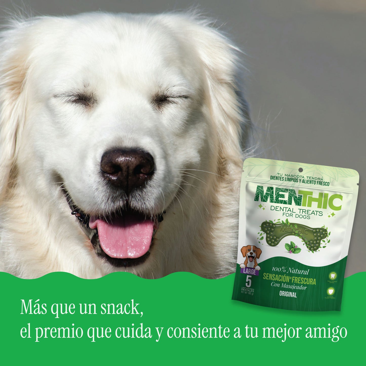 Huesos Dentales para Perros Menthic Large x5 (185g) – Snack Natural