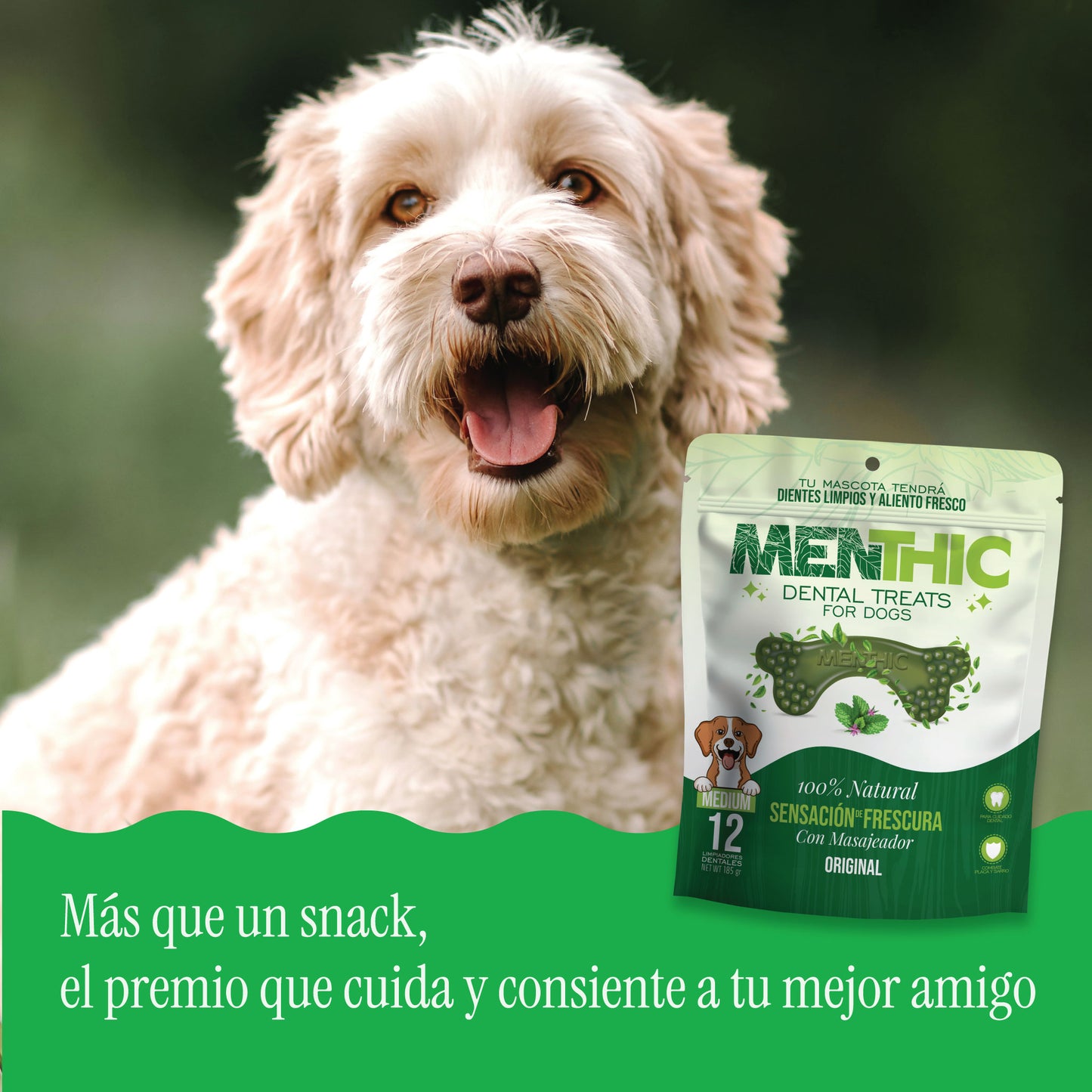 Huesos Dentales para Perros Menthic Medium x12 (185g) – Snack Natural