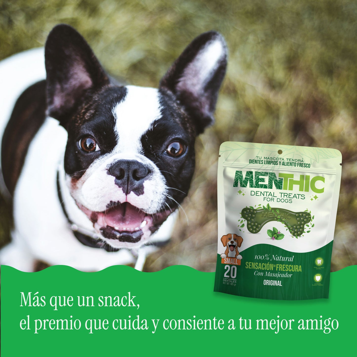 Huesos Dentales para Perros Menthic Small x20 (185g) – Snack Natural