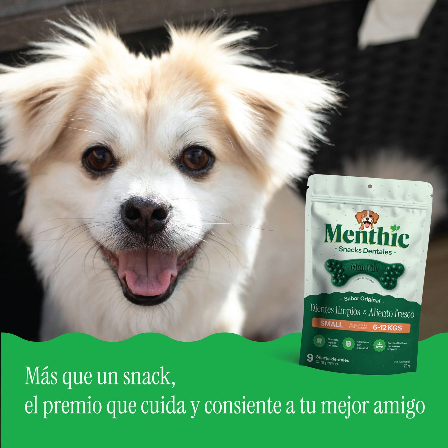 Huesos Dentales para Perros Menthic Small x9 (79g) – Snack Natural
