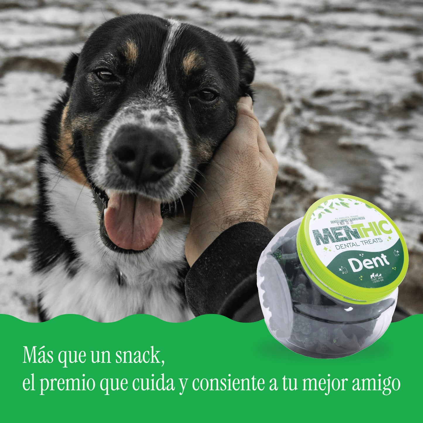 Huesos Dentales para Perros Menthic Bombonera 1000 g – Medium