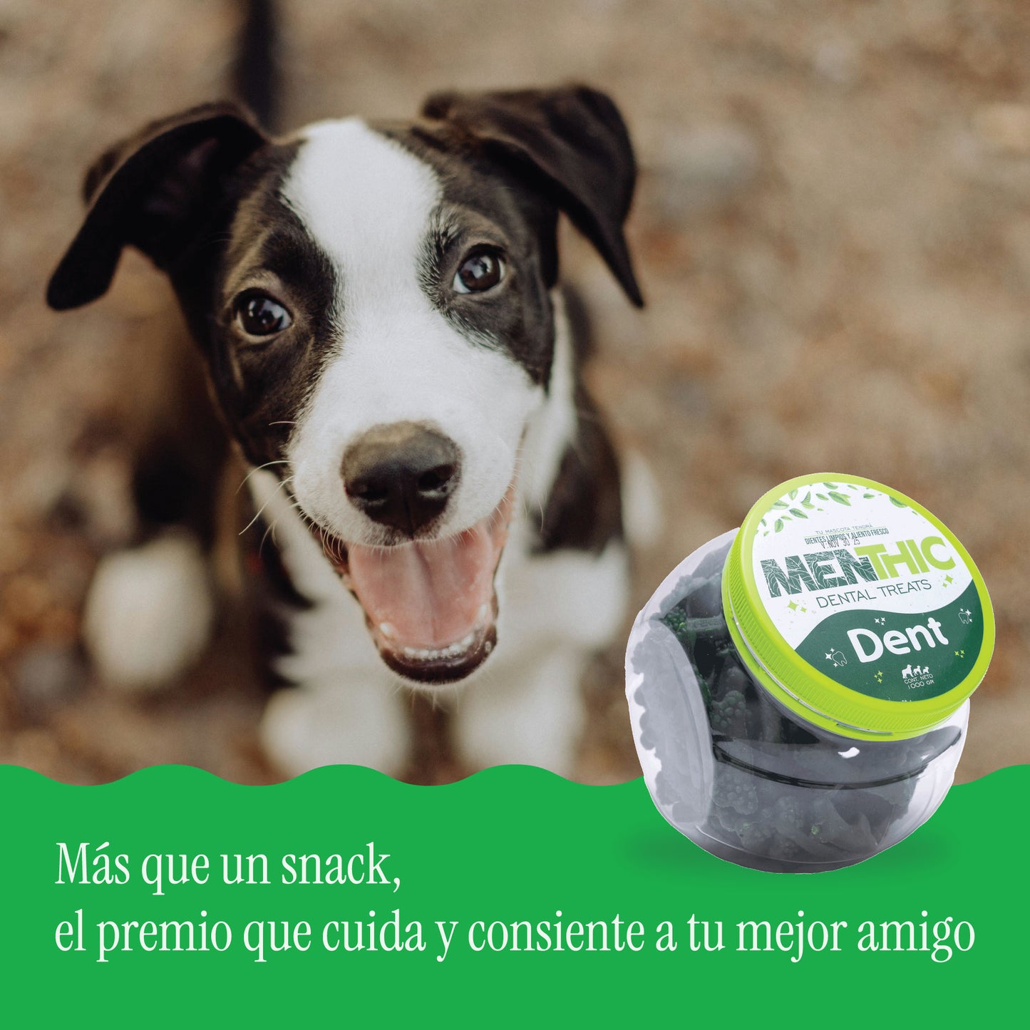 Huesos Dentales para Perros Menthic Bombonera 1000 g – Small