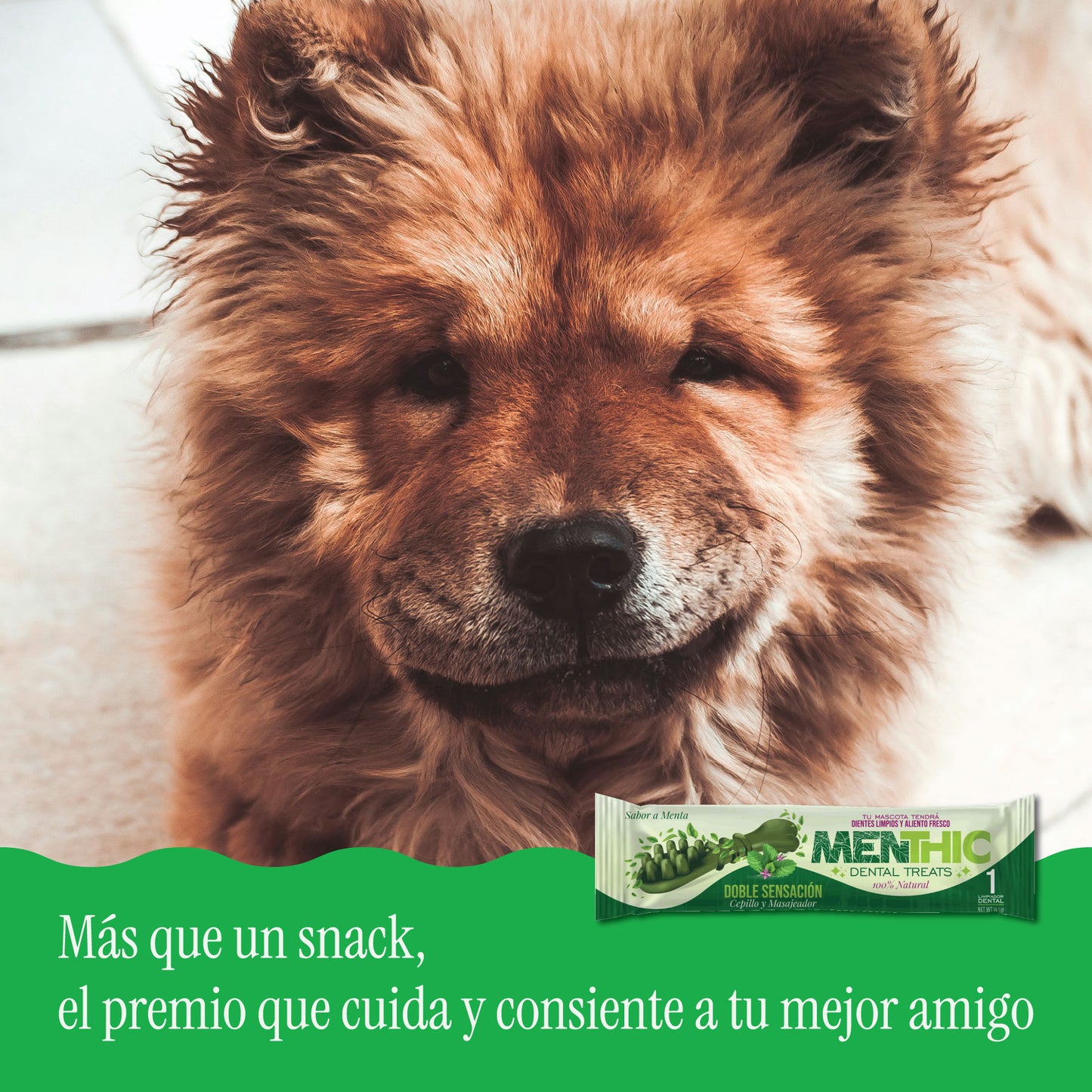 Cepillos Dentales para Perros Menthic Caja Sachet Medium x30 (435g) – Snack Natural