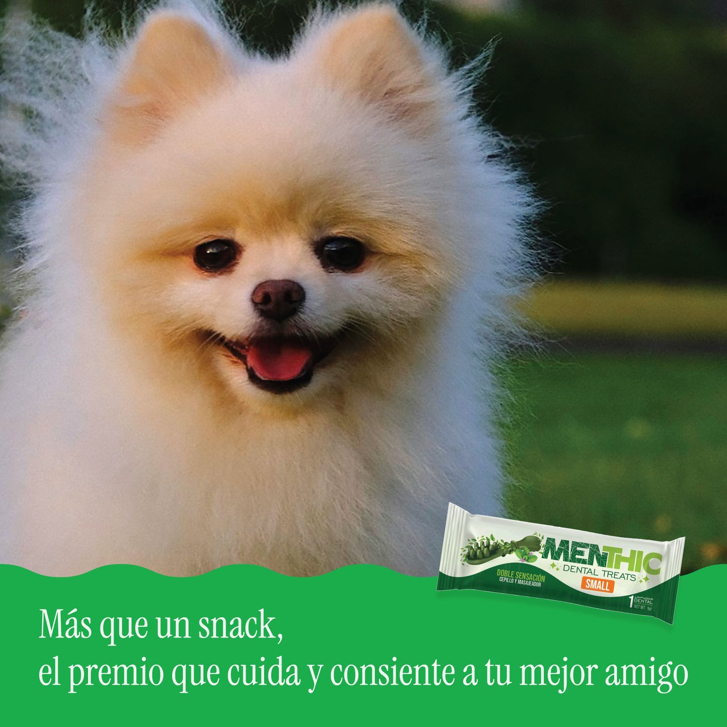 Cepillos Dentales para Perros Menthic Caja Sachet Small x40 (360g) – Snack Natural