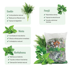 ¡Pague 4 lleve 5! - Menthic Hueso Bolsa Respuesto 1000 gr - Talla Small
