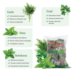 ¡Pague 4 lleve 5! - Menthic Stick - Bolsa Respuesto 1000 gr