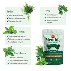 Snack Menthic Huesos 79 gr