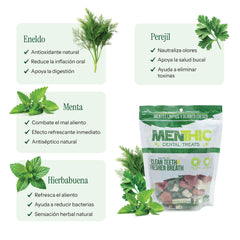 Snack Menthic Mix 300g