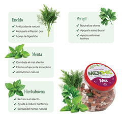 Snack Menthic Mix Bombonera 1000 g