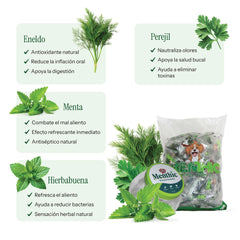 Menthic Huesos Bolsa Repuesto 1000 gr + Bombonera - Talla Small