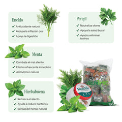 Menthic Stick Bolsa Repuesto 1000 gr + Bombonera
