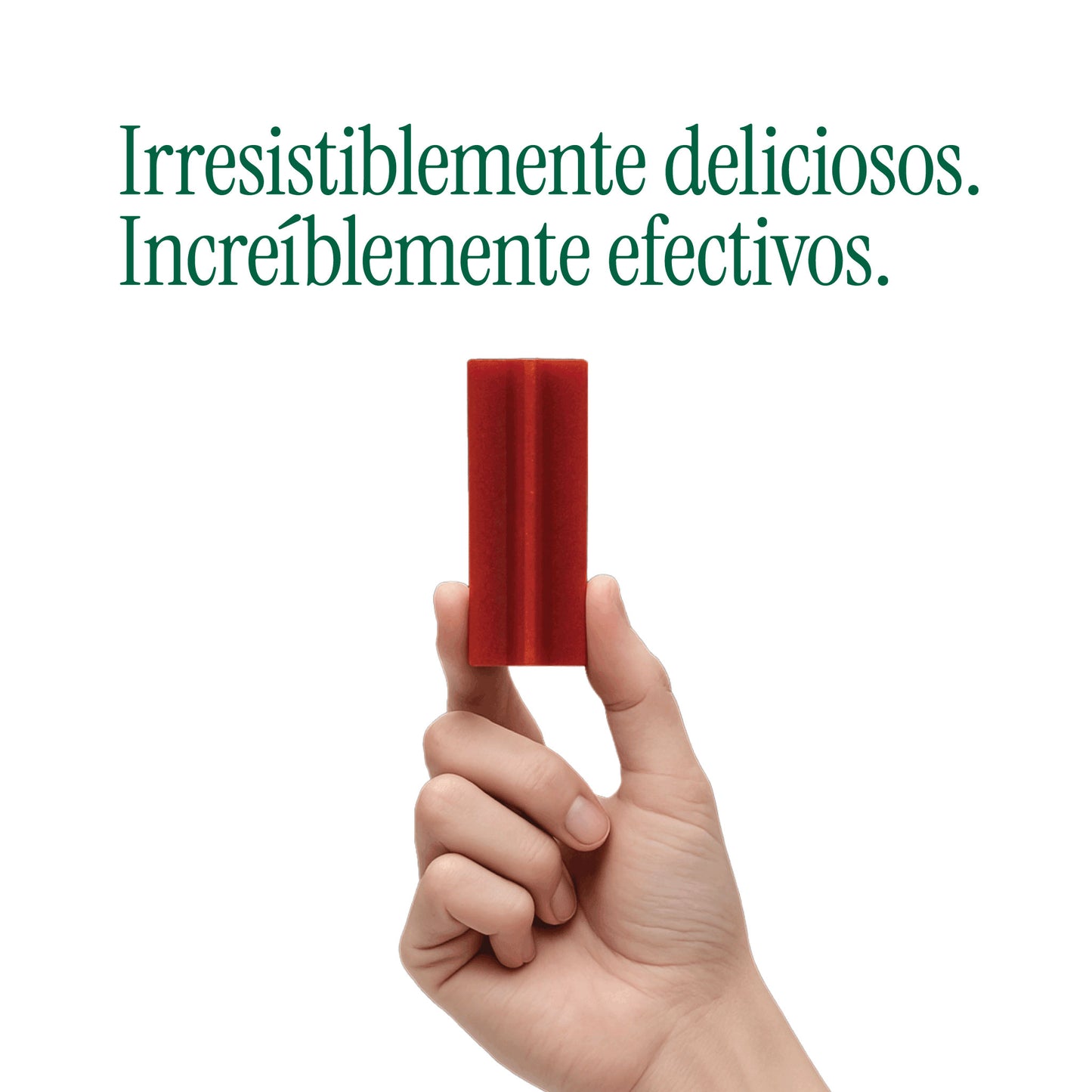 Sticks Dentales para Perros Menthic x6 (75g) - Snack Natural