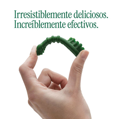 Snack Menthic Caja Dispensadora Sachet Small 360 g