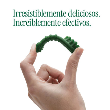 ¡Lleva 5, Paga 4! - Menthic Cepillo 185 gr - Talla Medium