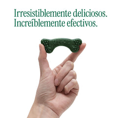 ¡Paga 4 lleva 5! - Menthic Hueso 79 gr - Talla Small