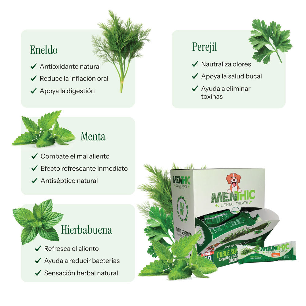 Menthic Caja Dispensadora Sachet - 40 und - Talla Small