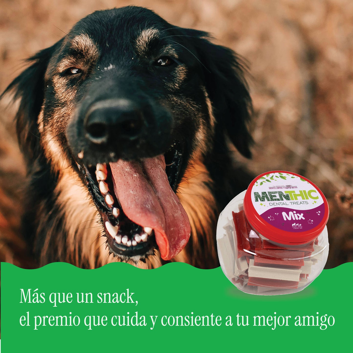 Sticks Dentales para Perros Menthic Bombonera 1000 g – Snack Natural